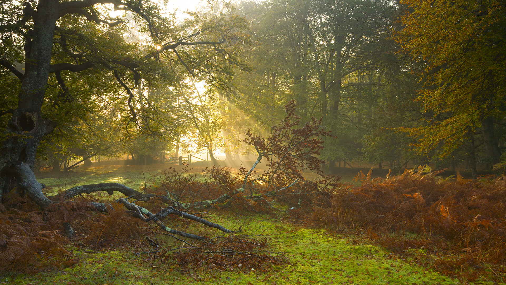 中国男篮提高阵容深度提升比赛应变能力，中国男篮训练强度