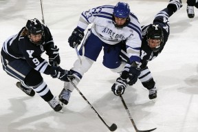 Kaiyun APP-NBA今日里程碑！约维奇1000分，格林5000助攻，哈滕33+19生涯之夜，nba生涯历史得分榜