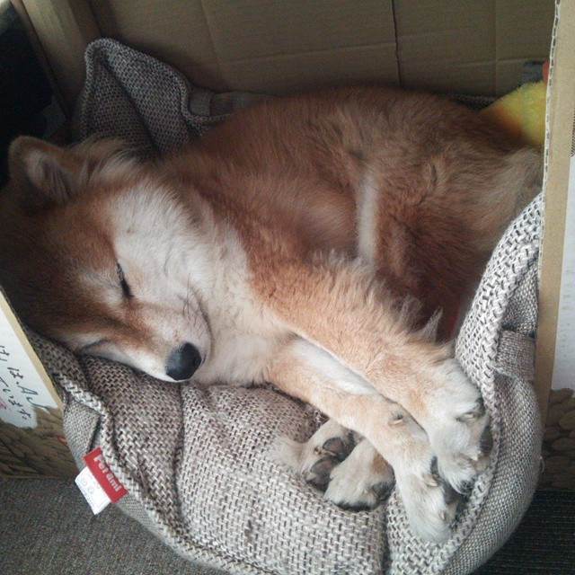 CBA联赛品牌价值持续上升吸引多方资本关注,cba品牌属于什么档次