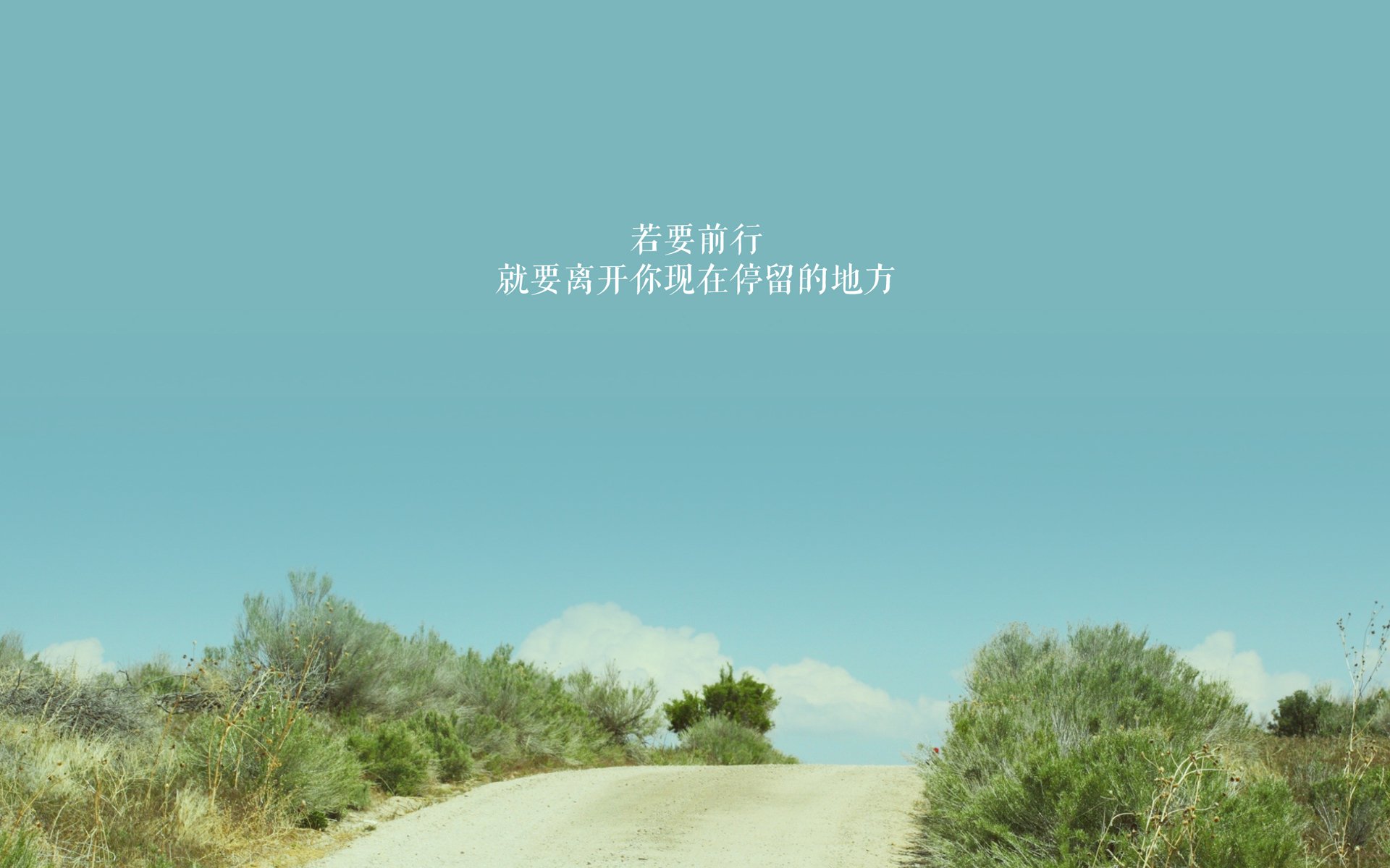 世界杯夺冠梦：英雄们的精彩表现！，世界杯夺冠2021